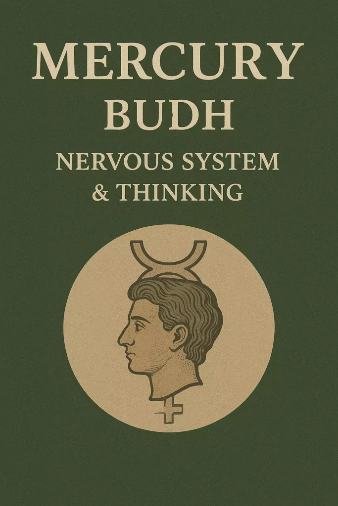 Mercury (Budh) – Nervous System & Thinking - Best Astrologer In Chandigarh